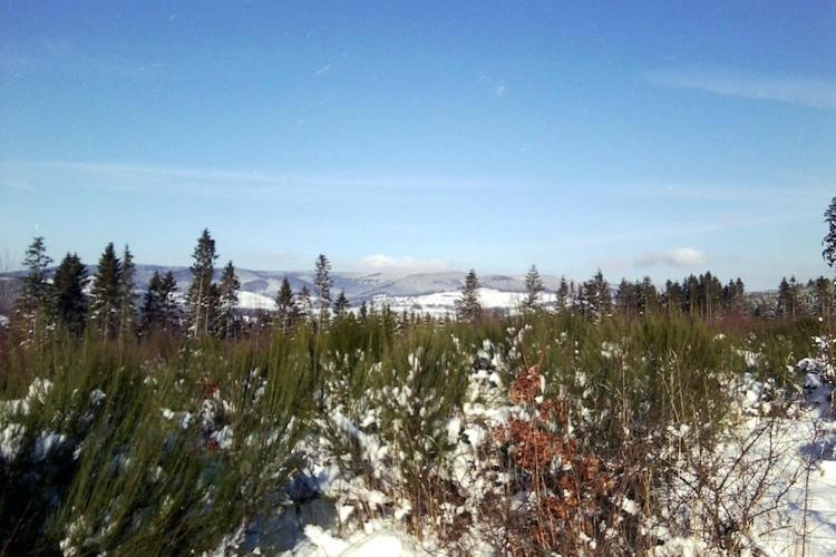 Cosy Apartment In Menkhausen Near The Ski Area 슈말렌부르크 외부 사진