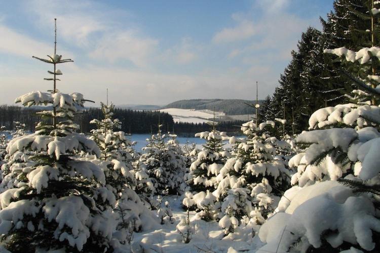 Cosy Apartment In Menkhausen Near The Ski Area 슈말렌부르크 외부 사진